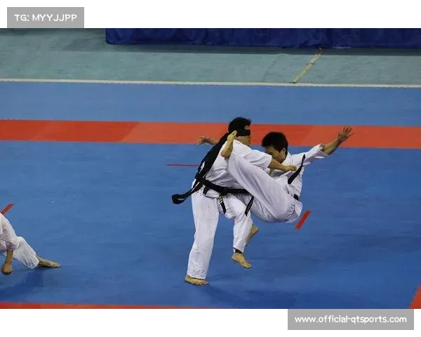 空手道表演融入大型文化活动展现传统武术魅力与现代文化碰撞的精彩瞬间